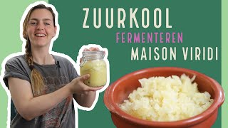 Makkelijk zelf ZUURKOOL maken [upl. by Irish886]