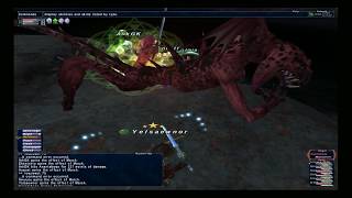 FFXI  ZNM Guide [upl. by Bricker]