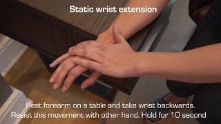 Wrist Extension Exercise  Resisted Static [upl. by Conte]