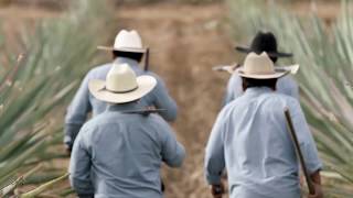 Casamigos Mezcal commercial [upl. by Ruthi]