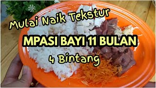 MPASI 4 Bintang BAYI 11 BULAN  Naik Tekstur [upl. by Negiam285]