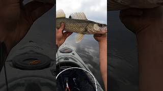 HOW TO FISH 🛑 Crawler Harness For Walleye 🔥 [upl. by Romola]