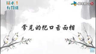 常見的犯口舌面相【風水有關係小教室】 [upl. by Kelda]