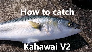 NZ Basic Fishing  Tutorial  How to catch Kahawai V2 [upl. by Belldame]