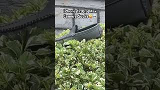 iPhone 12 Pro Max camera Sucks💀 [upl. by Connors]