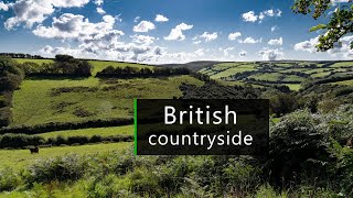 British countryside on an Autumn morning  Nature sounds [upl. by Arlyn]