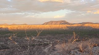 Ecosystems and drought [upl. by Retswerb471]