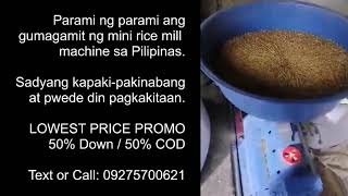 Mini Rice Mill Philippines Portable Machine [upl. by Dorry]