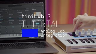 Tutorials  MiniLab 3  Using Analog Lab [upl. by Klinger915]