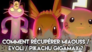 COMMENT RÉCUPÉRER MIAOUSS  ÉVOLI  PIKACHU GIGAMAX   Pokémon Épée et Bouclier [upl. by Namialus]