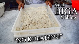 REAL METHOD HOW TO MAKE THE BIGA  NO KNEAD [upl. by Anneyehc]