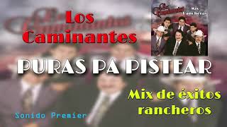 MIX LOS CAMINANTES RANCHERAS PA PISTEAR SABROSO [upl. by Wolfie]