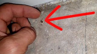 How to Remove HeadlessChipped Nails from Concrete [upl. by Piegari332]