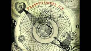 Trapped Under Ice  TUI Lyrics [upl. by Attevad]