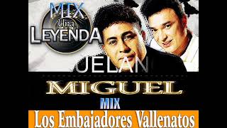 MIX LOS EMBAJADORES DEL VALLENATO [upl. by Doykos]