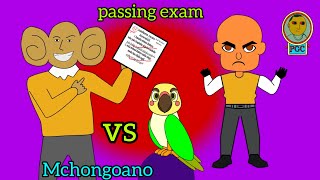 Passing Exams by a Miracle and A Talking Bird  Bob kichwa Ngumu Ep 73 mchongoano animationpgc [upl. by Nahbois]