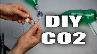 HOW TO DIY CO2 system for aquarium plants TUTORIAL [upl. by Onirefes]