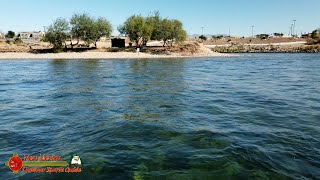 Colorado River Goat Island Bullhead City Arizona [upl. by Hillinck411]