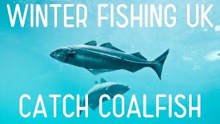 How To Catch Coalfish Shore Fishing UK and Europe  Beginners And Improvers  Sea Fishing Tutorial [upl. by Aric]