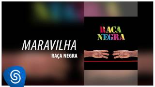 Raça Negra  Maravilha Raça Negra Vol 6 Áudio Oficial [upl. by Ecinom994]