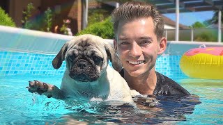 Die HUNDE WELPEN lernen SCHWIMMEN  Welpen Vlog 4 [upl. by Arhas]