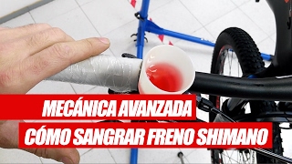 MECÁNICA AVANZADA  Cómo Sangrar unos frenos Shimano [upl. by Snashall]