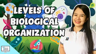 Levels of Biological Organization  Biology [upl. by Yetac]