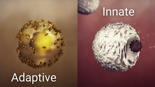 How your immune system works [upl. by Linc234]