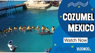 Cozumel Mexico Top Excursions and Port Review  Carnival Cruise Port  Travel Vlog [upl. by Htebazileharas]