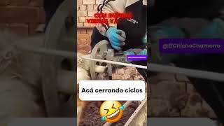 Es de humanos cerrar ciclos este 2024 foodvideos mundoreal humor automobile mundokomedia funny [upl. by Arraic]