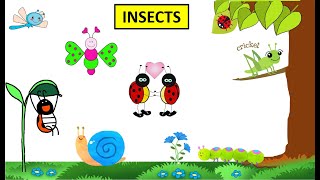 CBSE Class 4 Science Insects [upl. by Saretta]