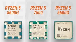 Ryzen 5 8600G vs Ryzen 5 7600 vs Ryzen 5 5600G w RTX 4090 Test in 7 games  Test Radeon 760M [upl. by Showker]