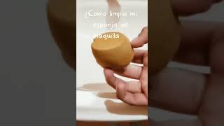 Como limpiar las esponjas de maquillaje 💋 con jabón para trastes Selene Canales [upl. by Bohman643]