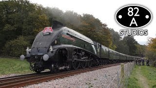 Bluebell Railway  Giants of Steam  Saturday 13th October 2018 [upl. by Ialda]