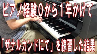 40年間ピアノをほぼ触ったことのない初心者オヤジが「ザナルカンドにて」を１年間練習した結果 [upl. by Macur]