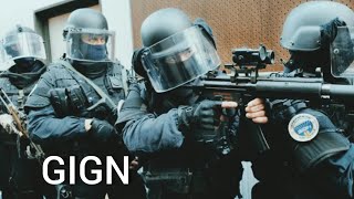 GIGNGroupe Dintervention De La Gendarmerie Nationale 2020 [upl. by Aztiley463]