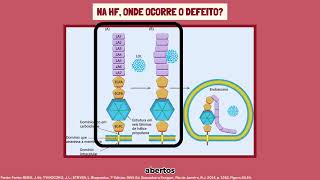 Aspectos bioquímicos da Hipercolesterolemia familiar HF [upl. by Eiramoj372]