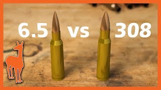 308 vs 65 Creedmoor Is 65 Creedmoor always the best long range round Pt 4 of Mile Rifle [upl. by Shannon744]