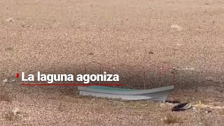 ¡LAGUNA AGONIZANDO  Como desierto luce la Laguna de Zumpango [upl. by Ume]