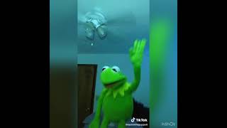 Funny Kermit the frog videos of 2020 Part 8 [upl. by Andree373]