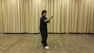 Taoist Tai Chi  Master Moy in Action [upl. by Anyalram432]