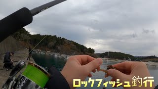 宮城県内でロックフィッシュを探す [upl. by Delfine408]