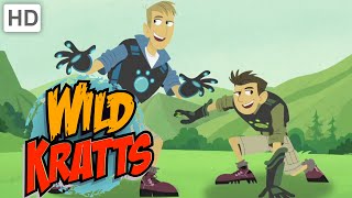 Wild Kratts  Theme Song [upl. by Simetra]