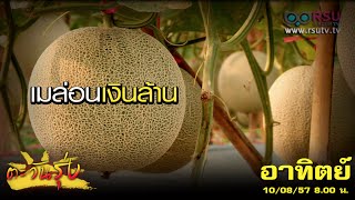 ตะวันรุ่ง  quot เมล่อนเงินล้าน quot ทำได้จริง โดย สุวิทย์ ไตรโชค ปราชญ์เกษตรของแผ่นดิน [upl. by Aiva]