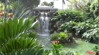 Jardin botanique Deshaies FULL HD Guadeloupe ex propriété de Coluche [upl. by Malloy]