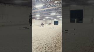 Finally had a jumping lesson 🙌😀 he bucked in the warm up though and we didnt get it on camera ☹️ [upl. by Acirem]