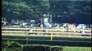 Holy Bull  1994 Travers G1 [upl. by Reginauld]