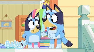 Mini Bluey  Full Episode  Series 3  Bluey [upl. by Notnerb533]