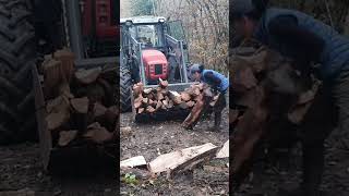 Back home 🏡 forest woodworking homestead woodfarm chainsaw moviesoundtracks farmstead [upl. by Norab]