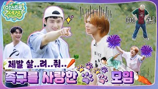 아스트로 세상 언제 끝나 그냥… 졌어 우리가🔥 드르륵 탁…⏪ EP3 [upl. by Atillertse]